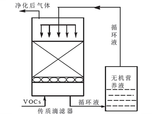 生物滴濾塔除臭工藝流程